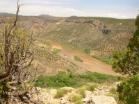 The Rio Grande